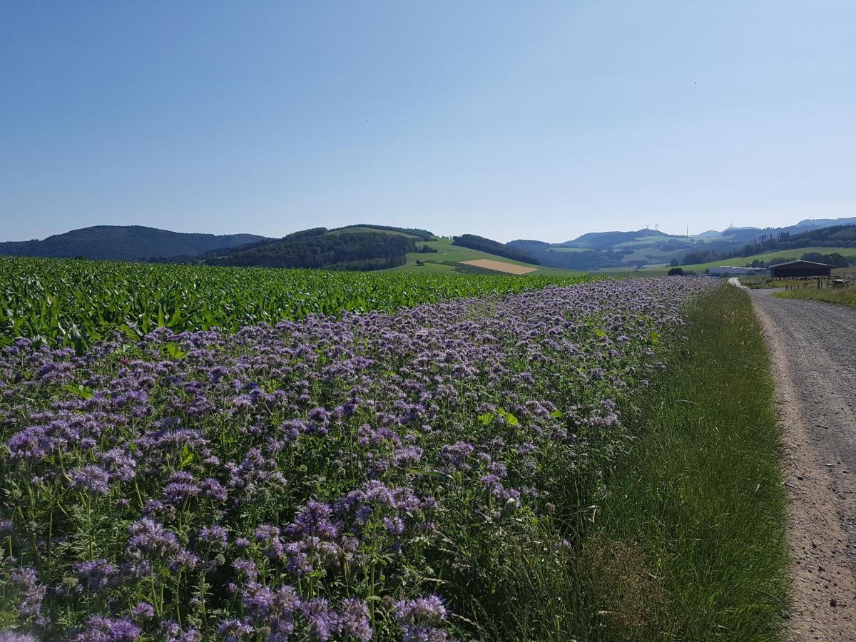 Pilgrims Franz großzügige Unterkunft Sauerland Meschede Exterior foto